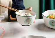 饭碗家用网红,揭秘网络红人的家居生活与影响力