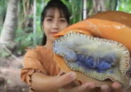 小姐姐抓海蜗牛视频,小姐姐的海洋奇遇记